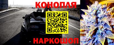 сатива Кулебаки