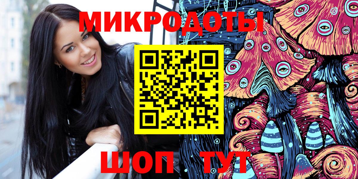 Галлюциногенные грибы Psilocybe Светлоград